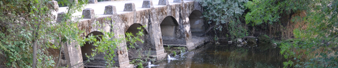 Banner de cabecera