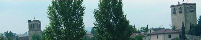 Banner de cabecera