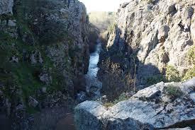 Imagen-3