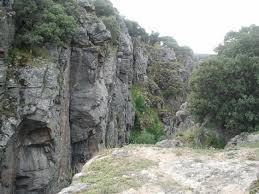 Imagen-20